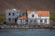 Verfallene Wohnhäuser auf Grytviken